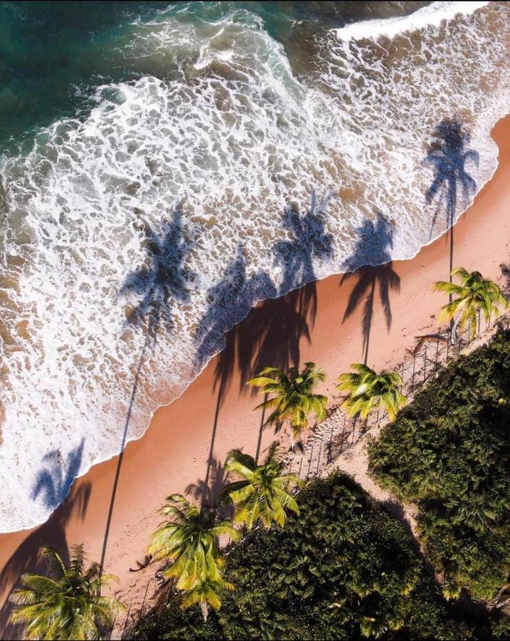 Numar Tubarao Pousada - Barra Grande Барра-Гранди Экстерьер фото