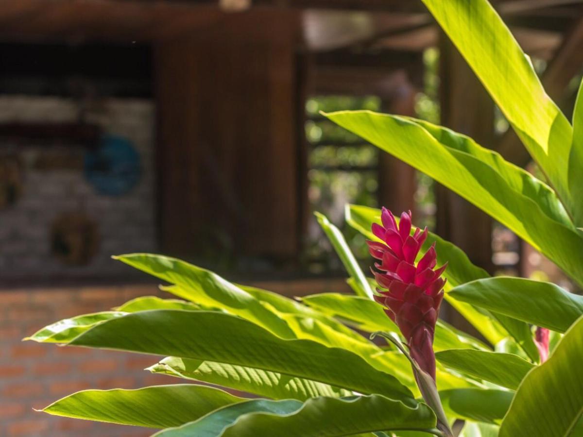 Numar Tubarao Pousada - Barra Grande Барра-Гранди Экстерьер фото